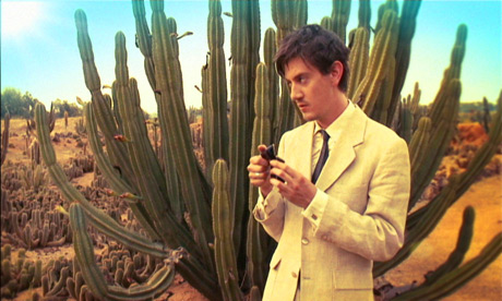 Hamishcacti