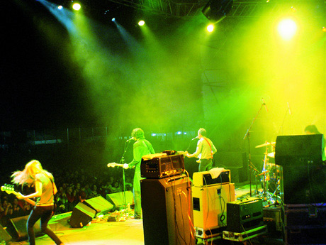 Splendour-in-the-gass1