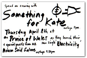assets/something_for_kate/images/picture_archive/SomethingforKate251.jpg